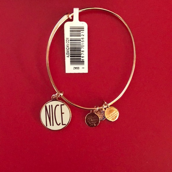 NWT ROSE GOLD ALEX & ANI NAUGHTY/NICE bracelet - Picture 4 of 5